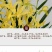 各种下山兰花苗，建兰，惠兰，春兰，寒兰，蜜蜂兰。
