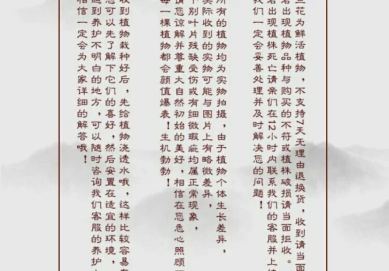 各种下山兰花苗，建兰，惠兰，春兰，寒兰，蜜蜂兰。
