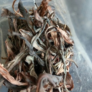 普洱茶