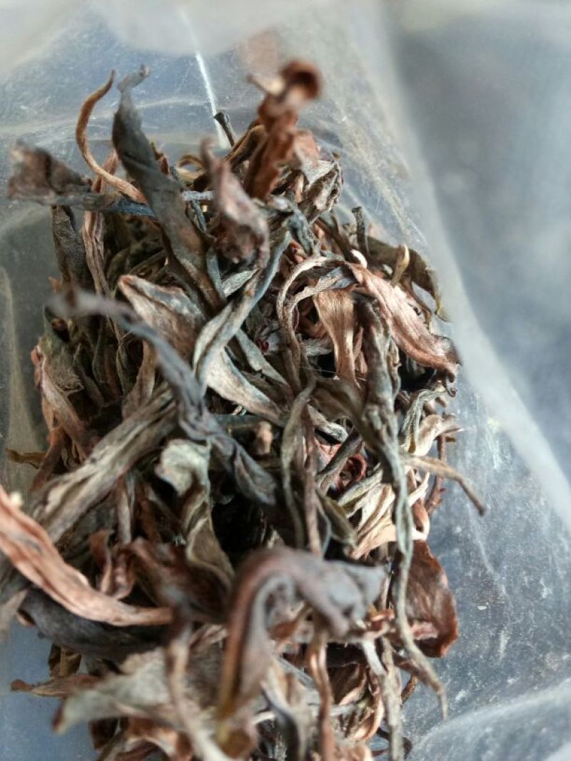 普洱茶
