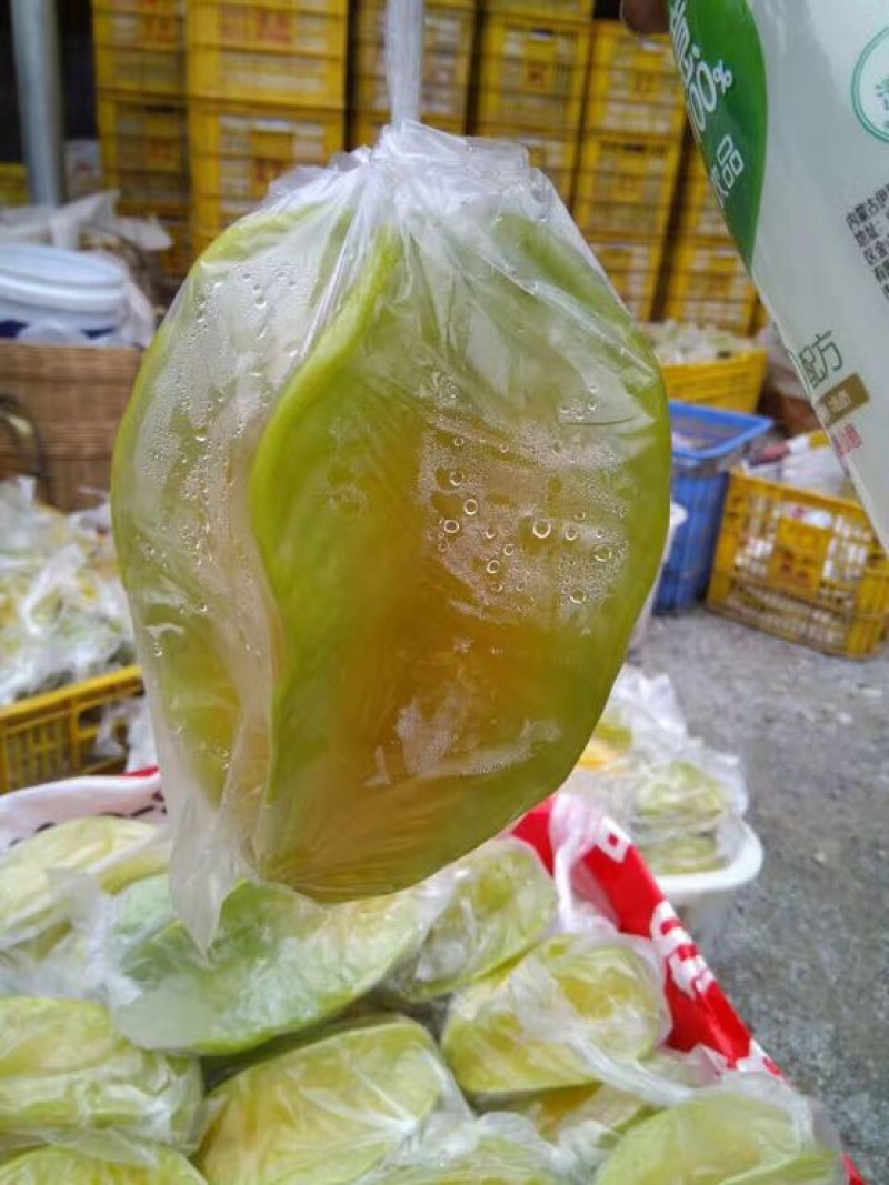 小果甜杨桃