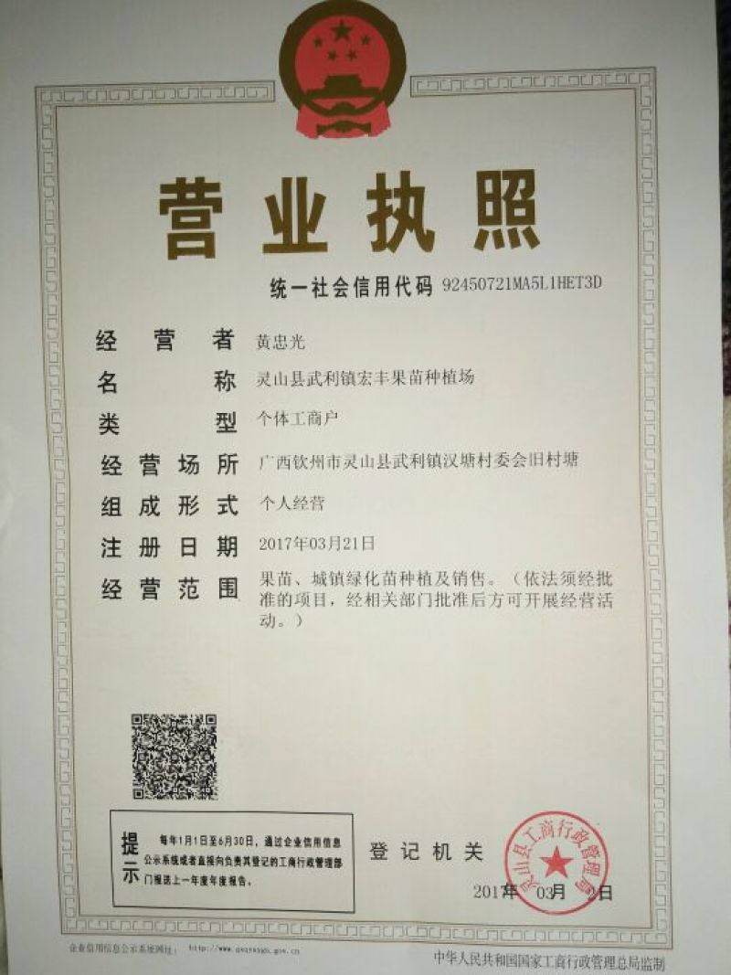 三红蜜柚苗1cm以上0.8~1m