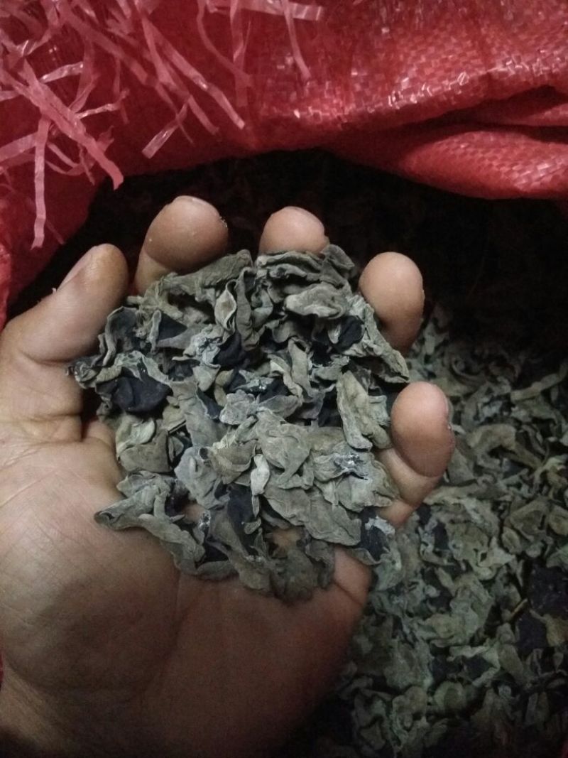 木耳二级