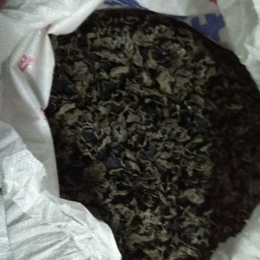 干木耳二级