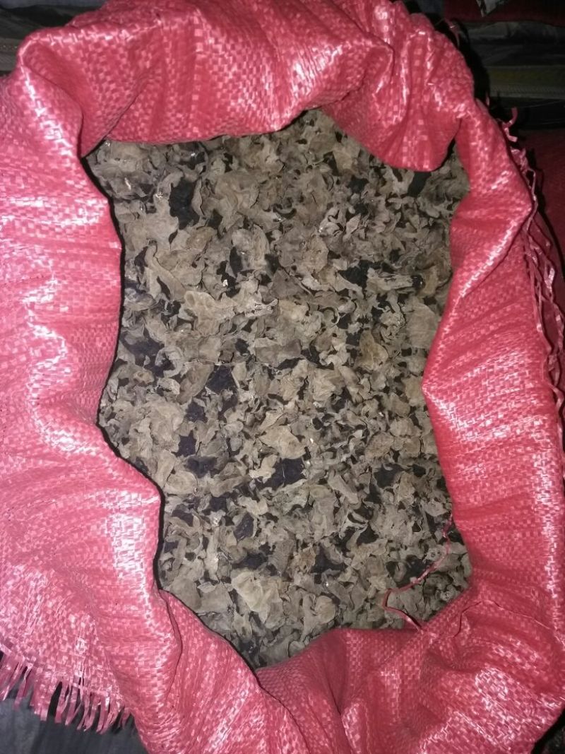 干木耳二级