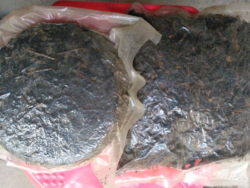 老树茶三级