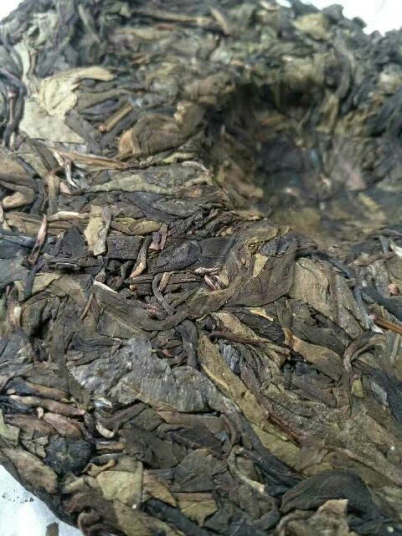 古树普洱茶一级