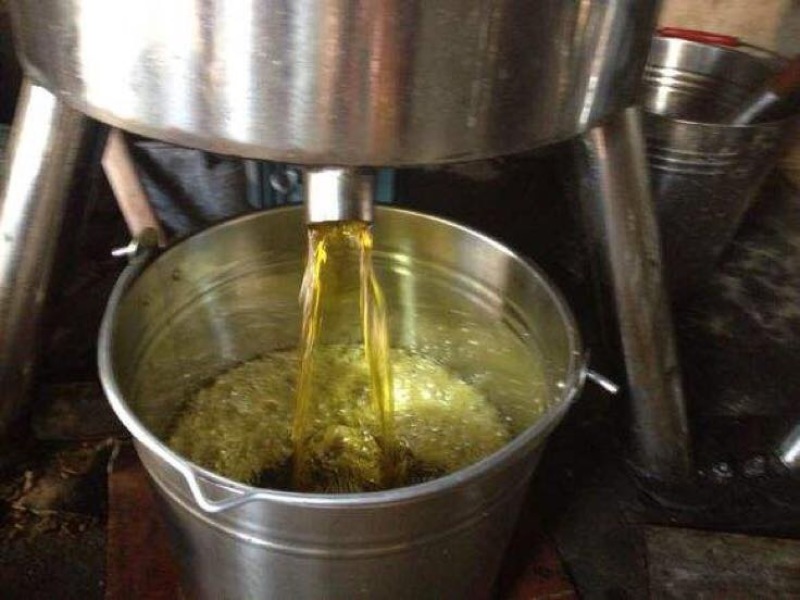 压榨菜籽油