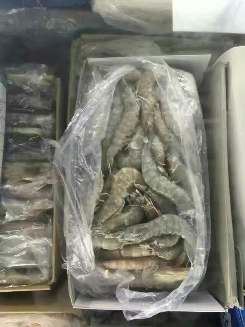 基围虾食用活虾
