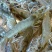 基围虾食用活虾