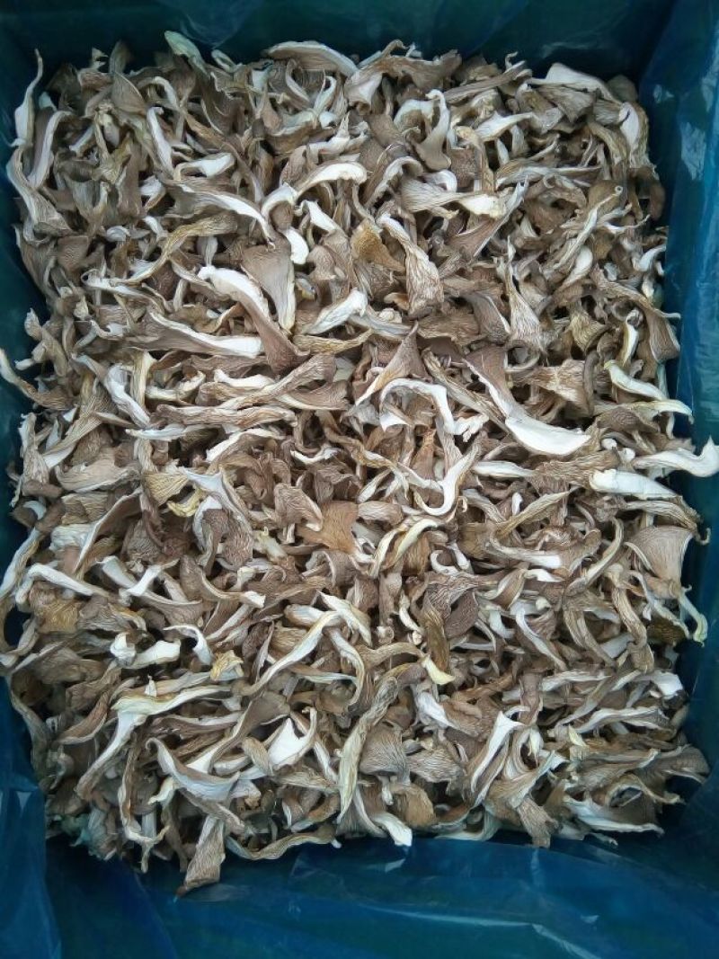 干平菇平菇干食用菌干蘑菇凤尾菇鲍鱼菇