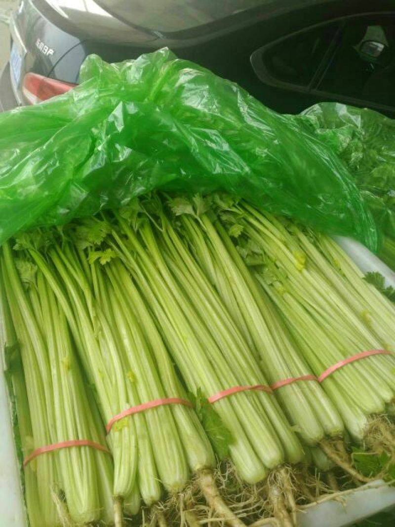 大量供应，质量上乘品质好