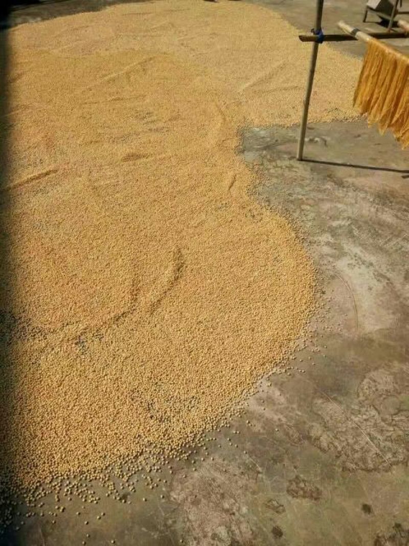 腐竹包装