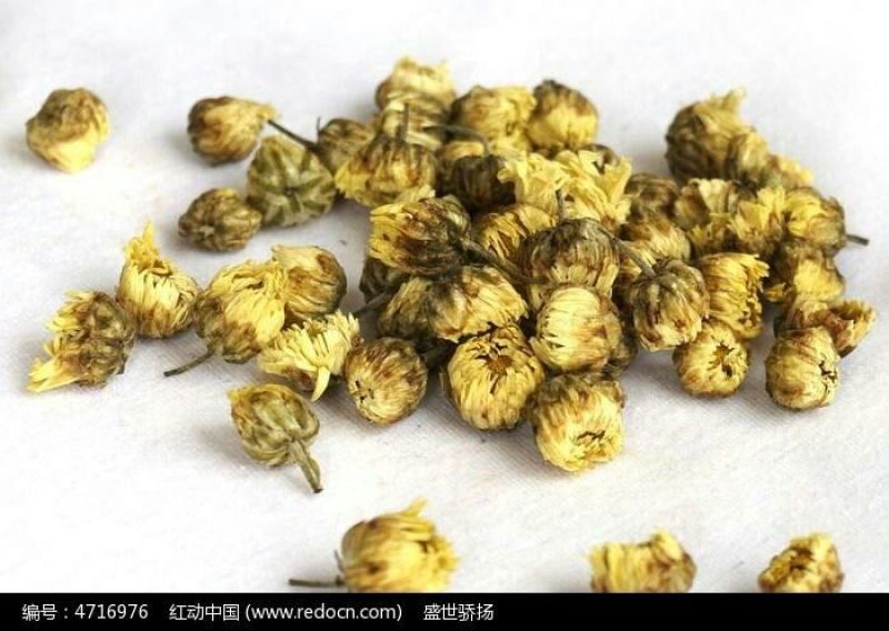 菊花茶