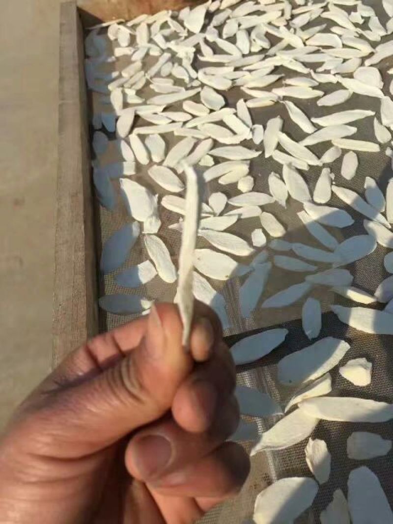 铁棍山药片