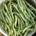 九粒白芸豆15cm以上