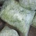 九粒白芸豆15cm以上