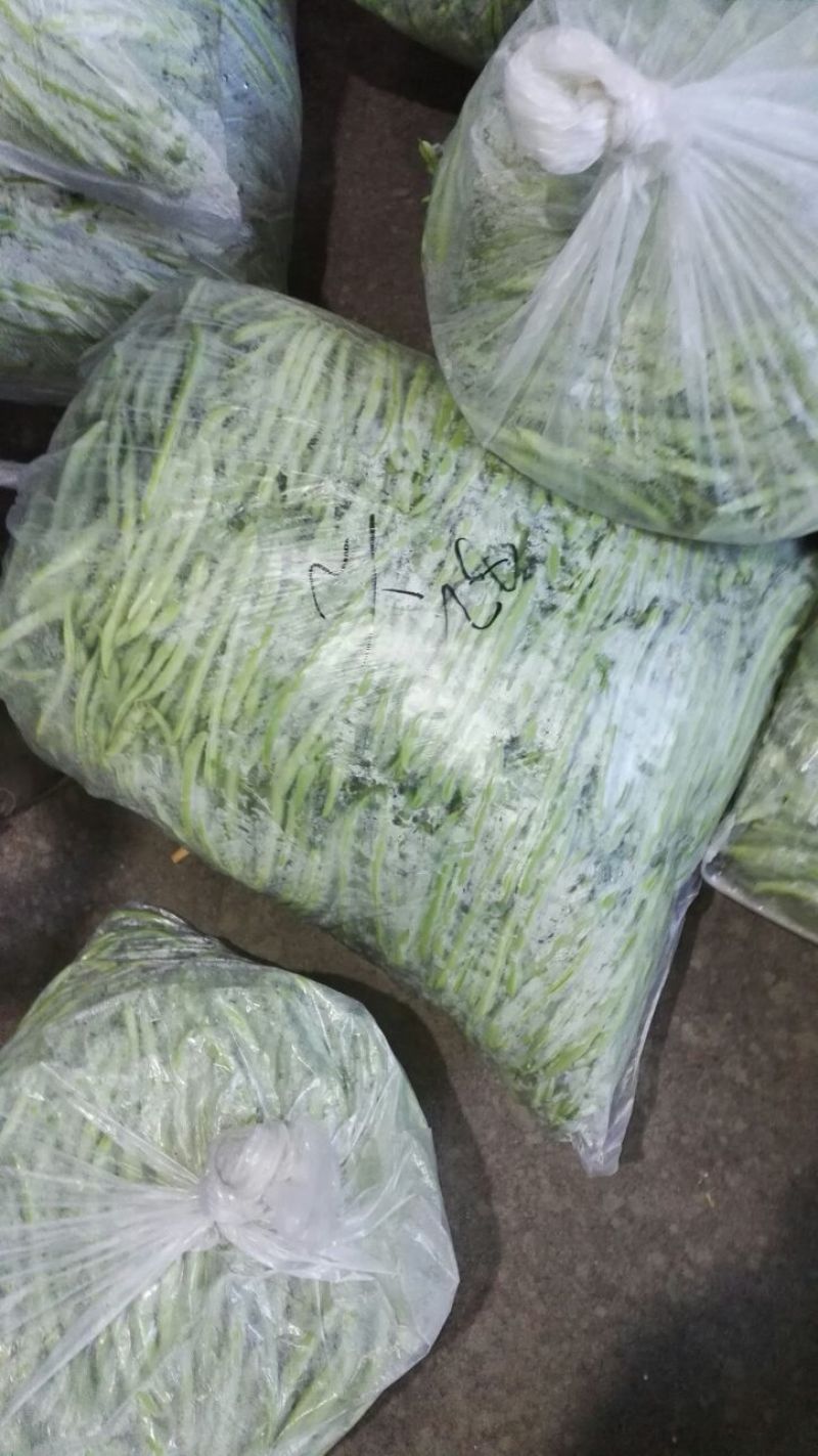 九粒白芸豆15cm以上