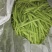 九粒白芸豆15cm以上
