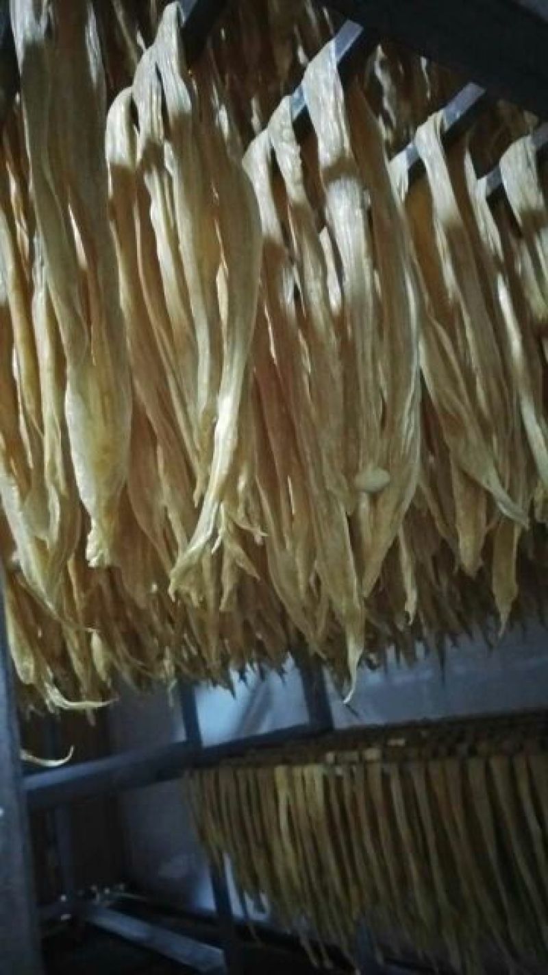 腐竹包装