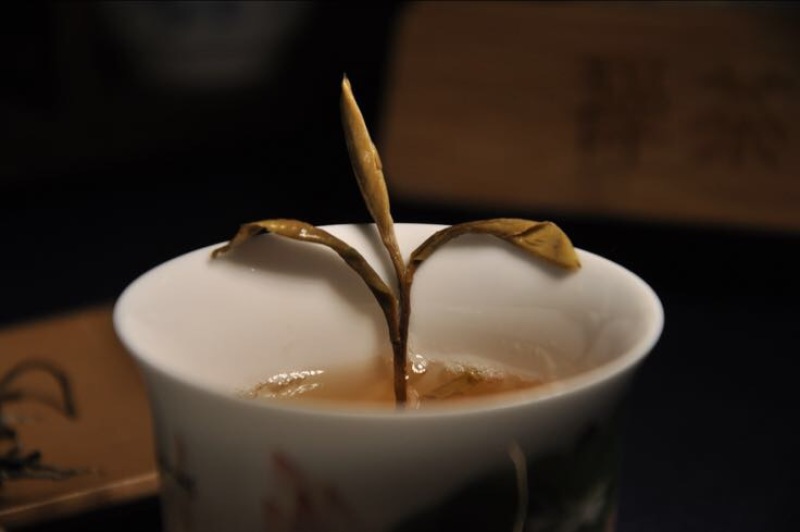 白牡丹
