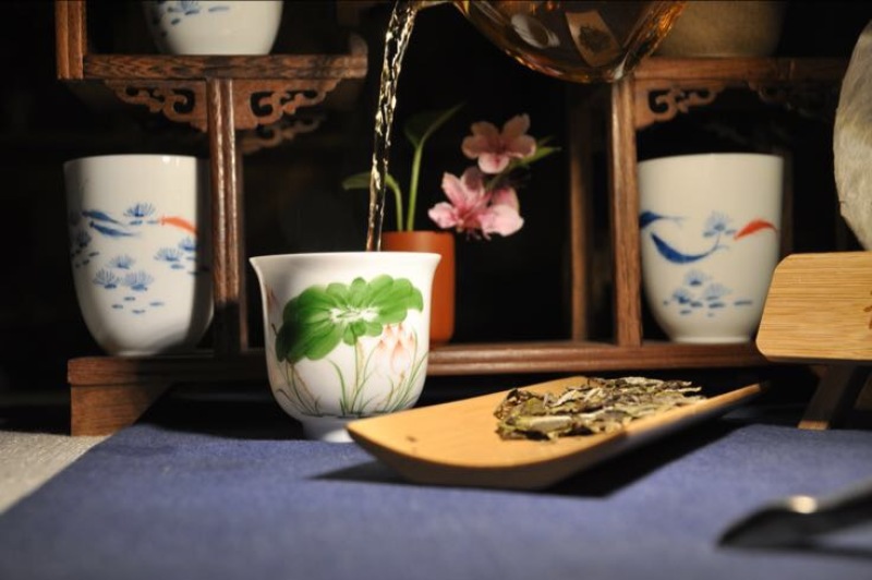 白牡丹