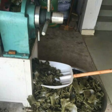 非转基因菜籽油一级