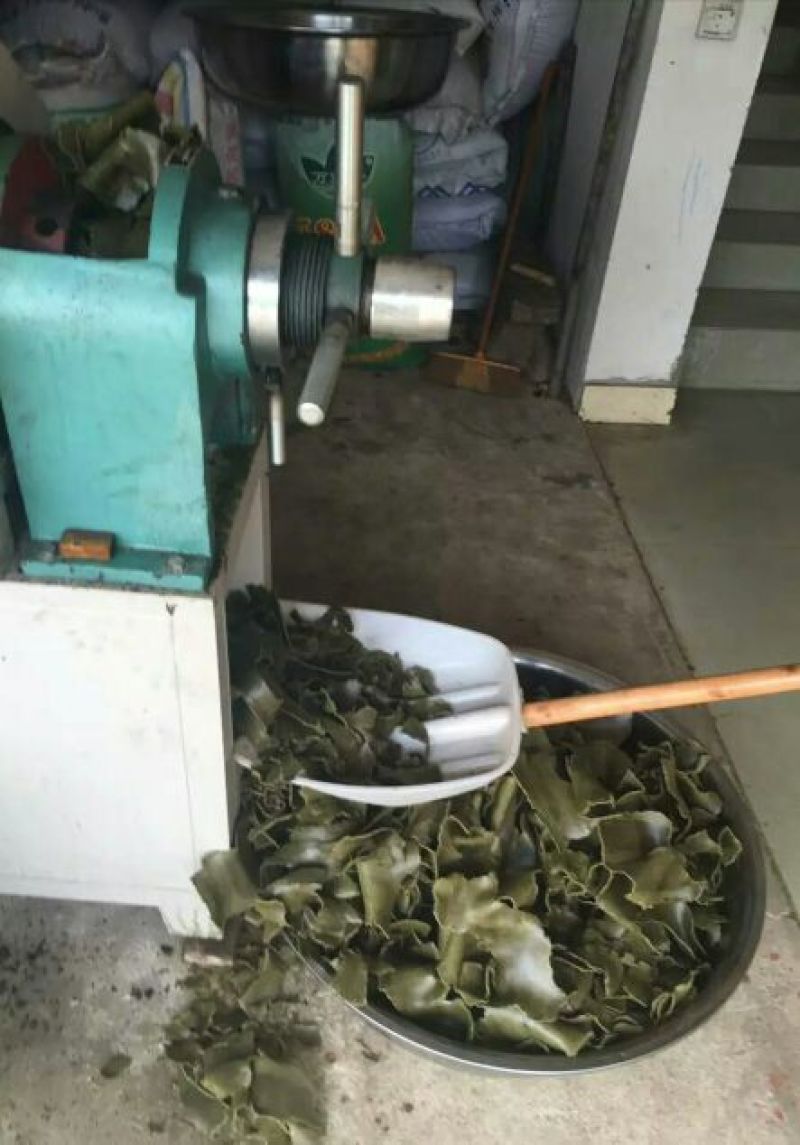 非转基因菜籽油一级