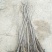 无花果苗80cm以上