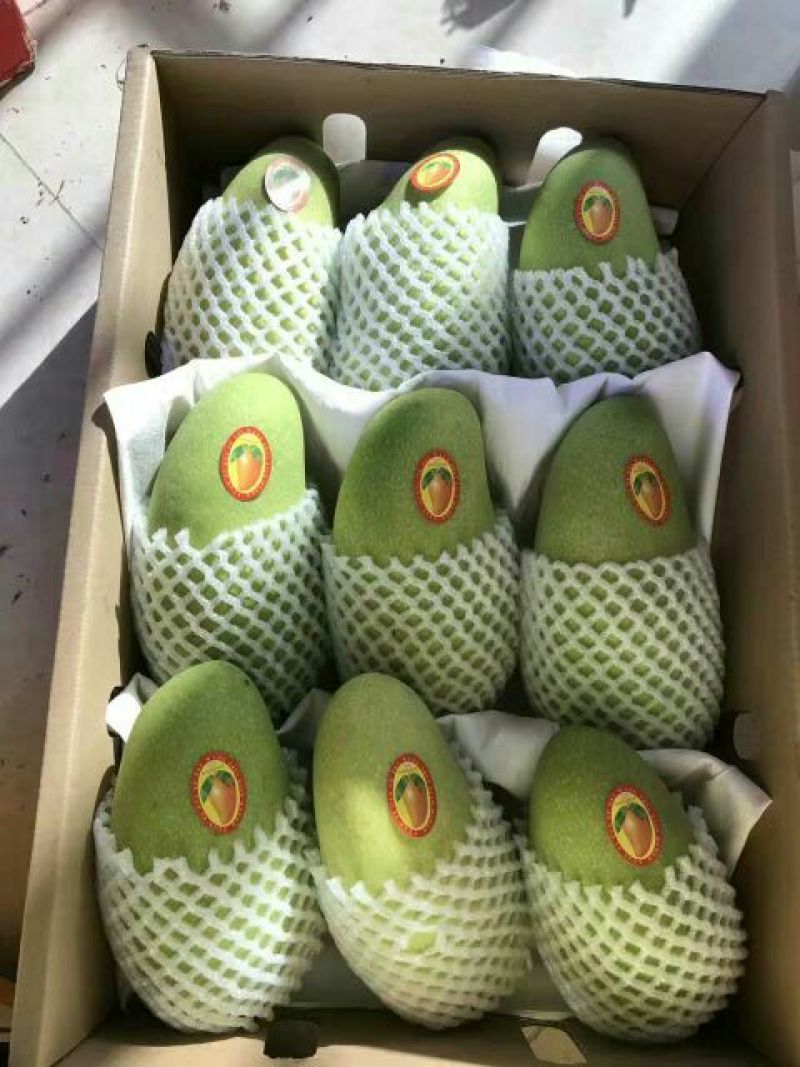 金煌芒8两以上
