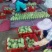 金煌芒8两以上