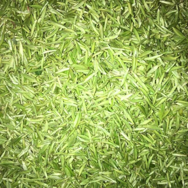 川茶特级