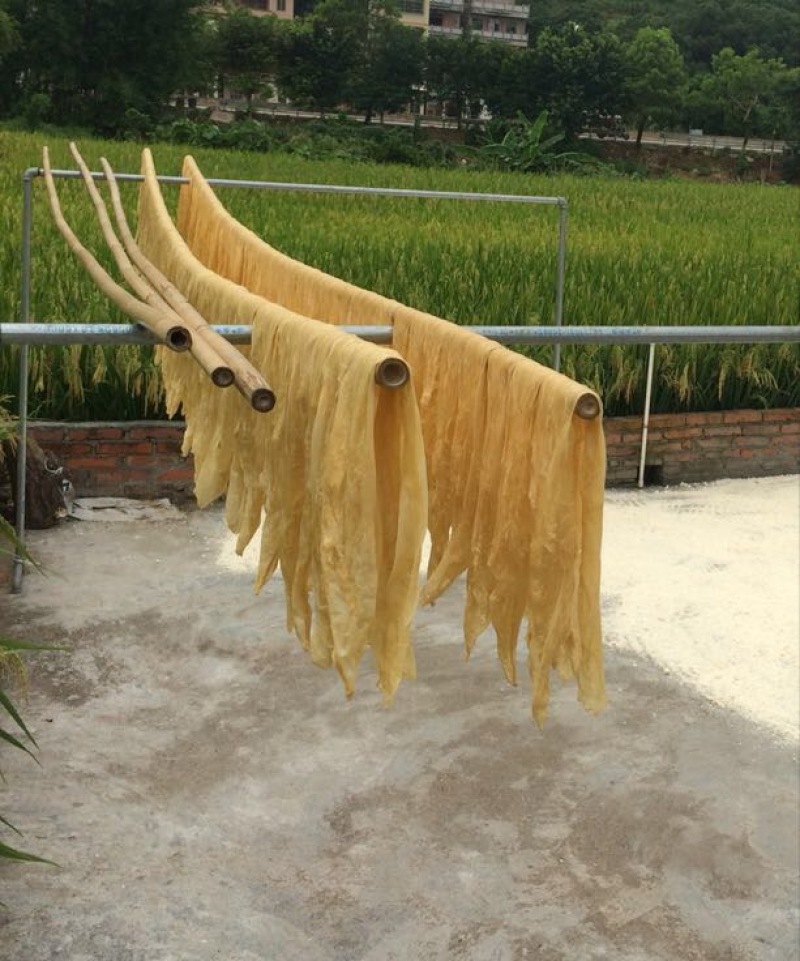 腐竹