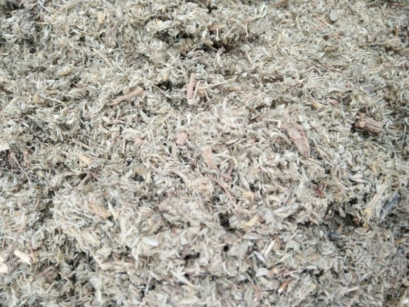 茵陈