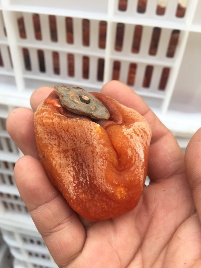 柿饼