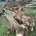 栾树2~4cm4~6cm2.5~3米