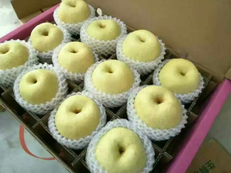 酥梨膜袋150~200g