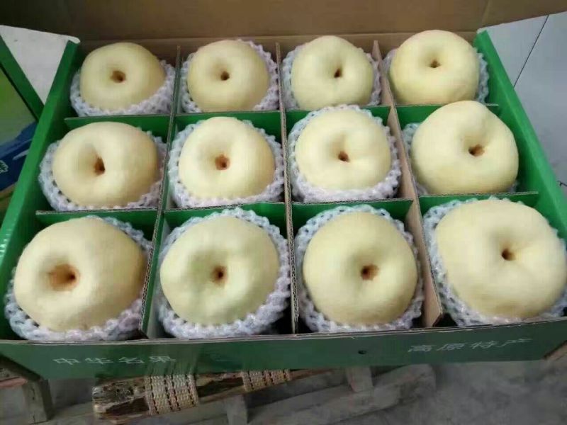 酥梨膜袋150~200g