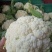 白花菜花2斤紧密乳白