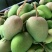 金煌芒10两以上