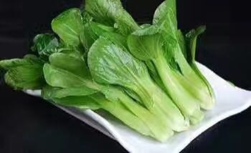 越冬菠菜