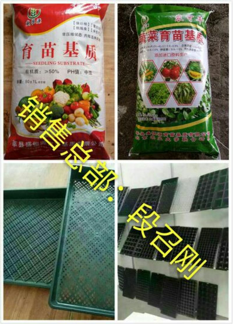 山东育苗基质营养土穴盘厂家直销质量保证量大从优