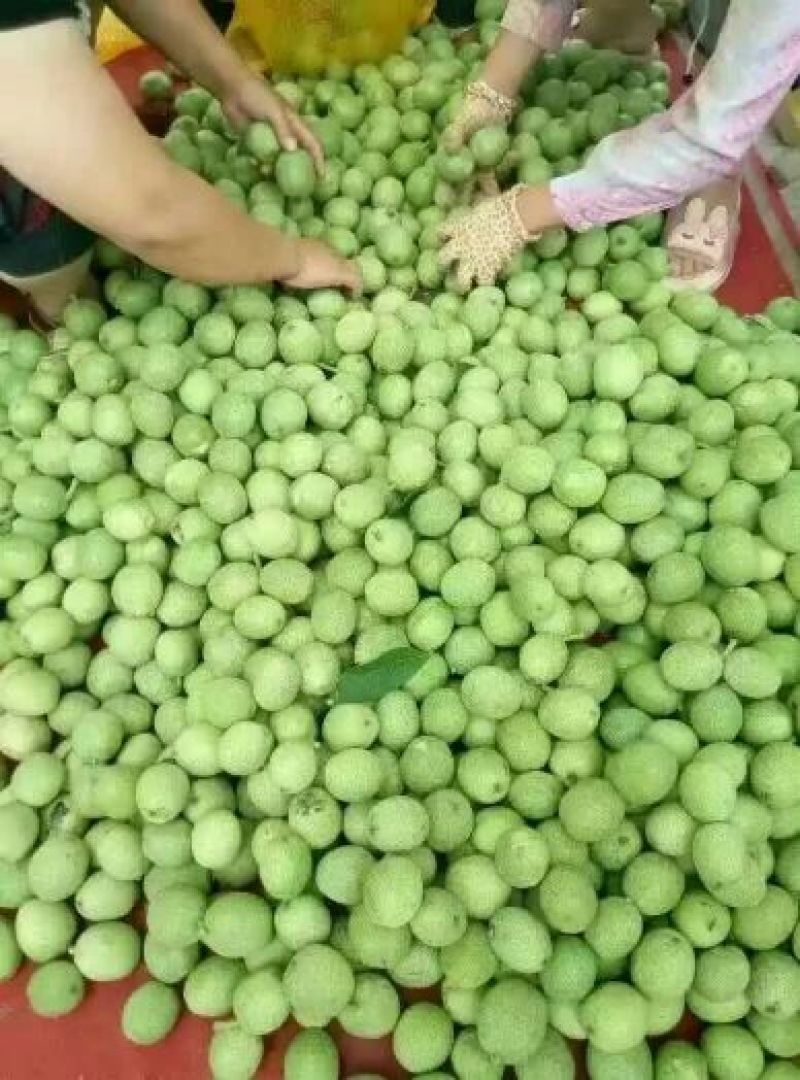 考密斯梨光果150~200g