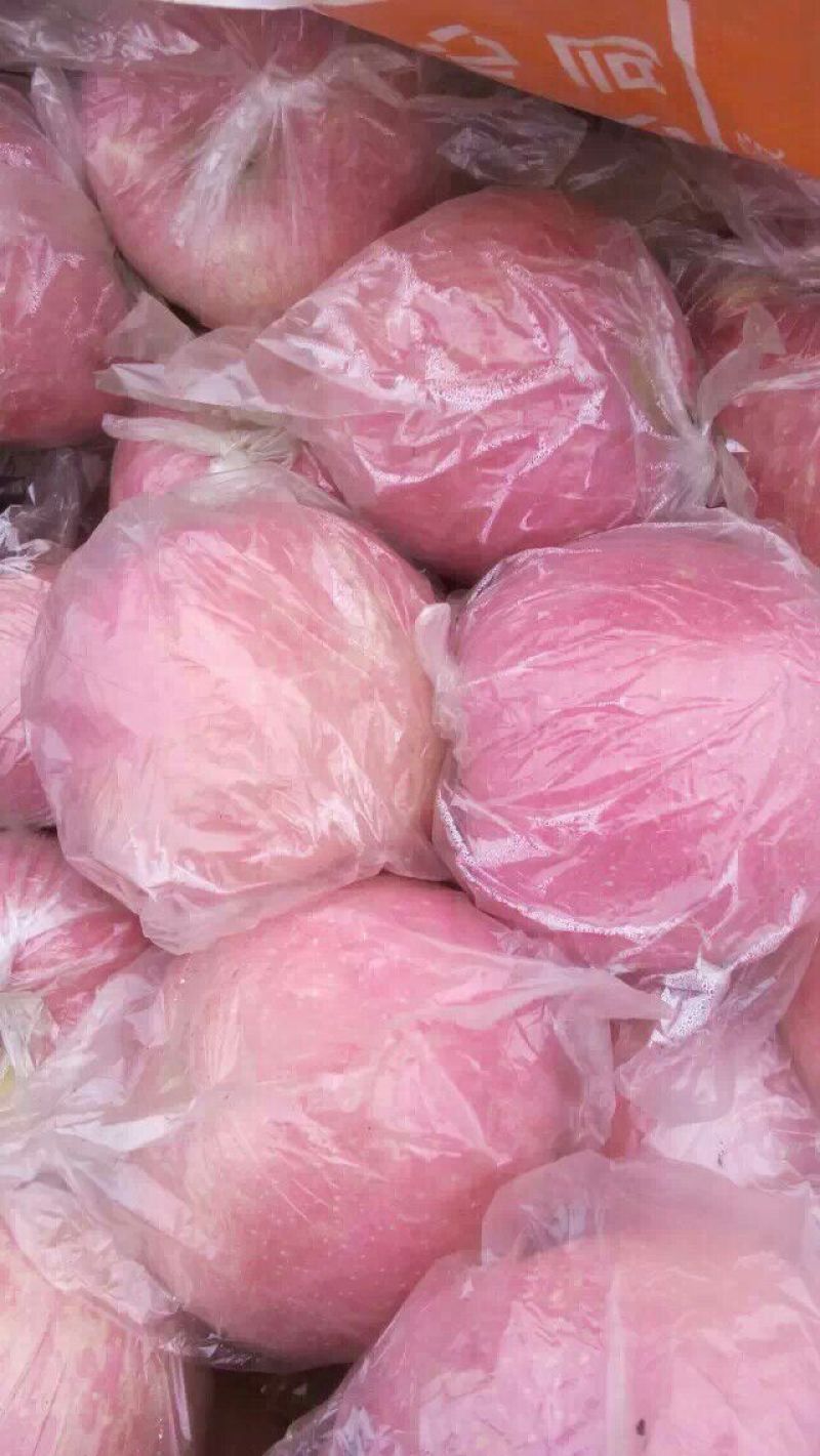 考密斯梨光果150~200g