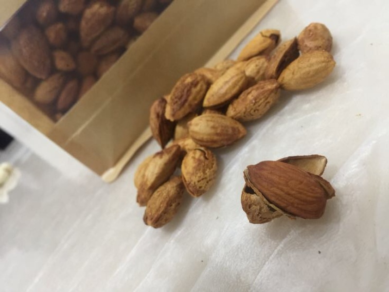 新疆巴旦木