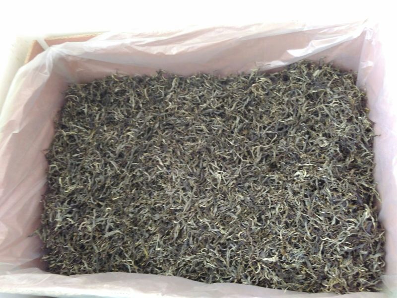 古树普洱茶二级