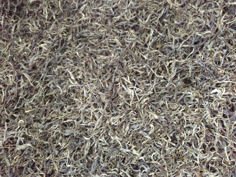 古树普洱茶二级