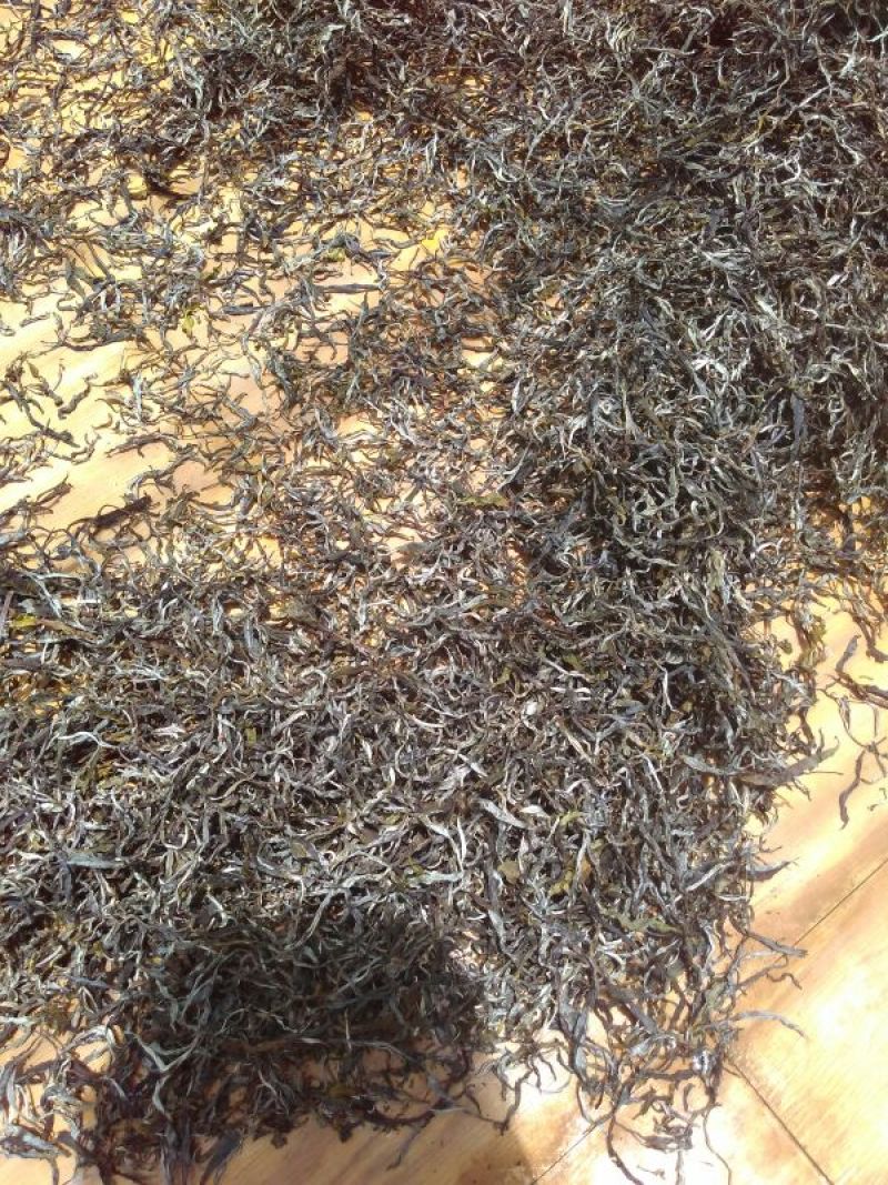 古树普洱茶二级