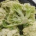 白面青梗松花菜适中乳白2斤，质量可靠，价格合理