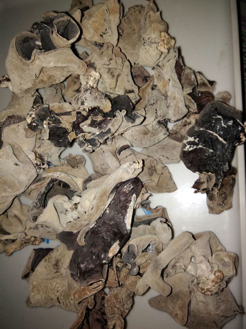 干木耳二级